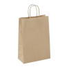 Detpak Small Paper Twist Handle Carry Bag (250 Pack)