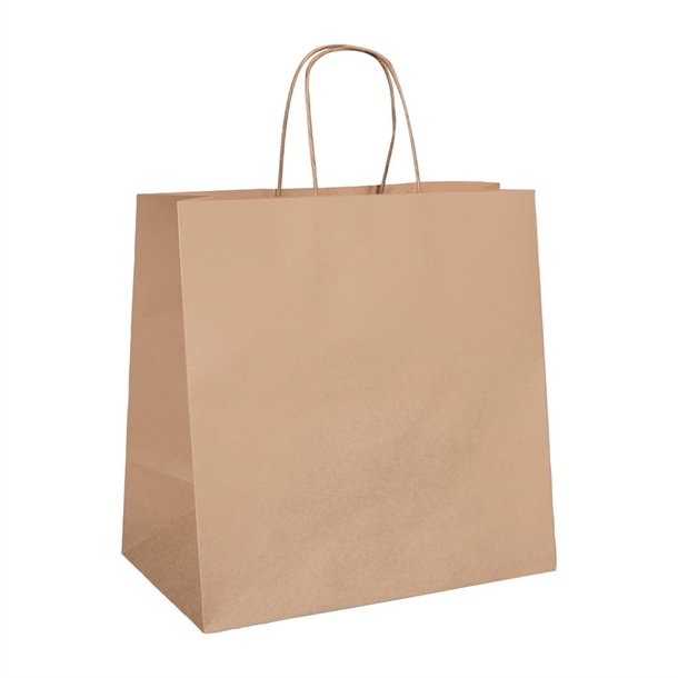 Detpak Large Twist Handle Bag (250 Pack)