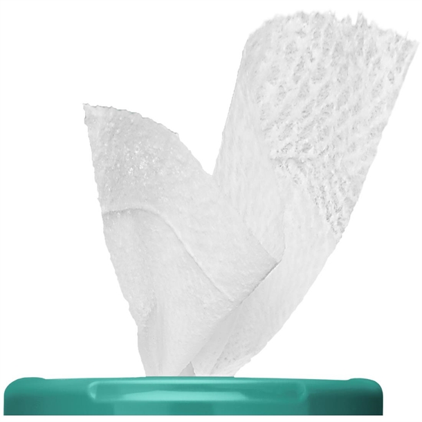 Clorox disinfecting wipes fresh scent 75ct