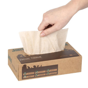 Jantex Green 100% Recycled Facial Tissues 100 Sheets (36 Pack)