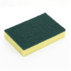 Jantex Foam Scourers (10 Pack)