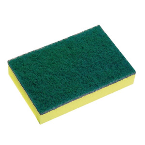Sabco Professional Sponge Scourers 150 x 100mm (10 Pack)