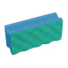 Vileda PurActive Scourers Blue (10 Pack)