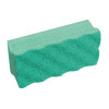 Vileda PurActive Scourers Green (10 Pack)