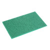 Jantex Green 100% Recycled Scouring Pads 228x152mm (10 pack)
