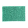 Jantex Green 100% Recycled Scouring Pads 228x152mm (10 pack)