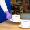 Hygiplas Vinyl Purple Powder Free Glove XL - pack 100