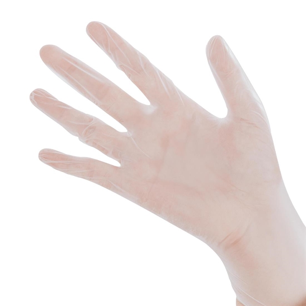 Bastion Progenics - Vinyl Powder Free Gloves - Clear - Pack 200