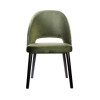 Furnlink Durafurn Semifreddo Chair Avocado (2 Pack)