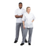 Whites Vegas Blue/White Check Trousers Size S (5 Pack) Whites Vegas Blue/White Check Trousers Size S (5 Pack)