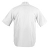 Southside Band Collar Unisex Chef Jacket White