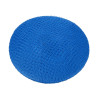 Lion Haircare Hair Net Light Blue Lion Haircare Hair Net Light Blue
