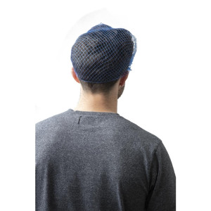 Lion Haircare Hair Net Light Blue