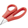 Hygiplas Colour Coded Red Scissors