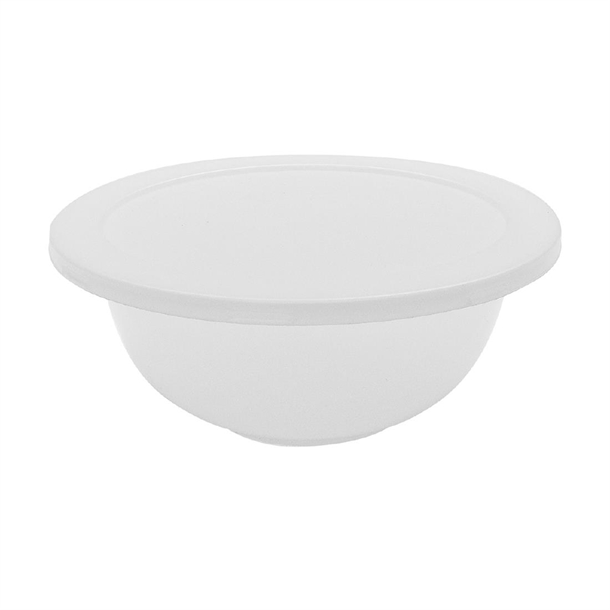 Schneider Plastic Mixing Bowl