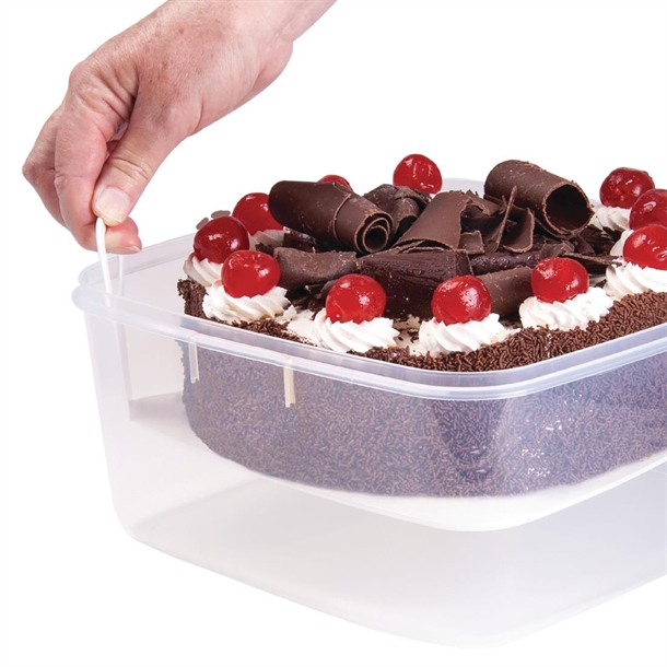 Décor Tellfresh Square with Cake Lifter White 6Ltr