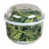 Décor Tellfresh Lettuce & Salad Cripser White