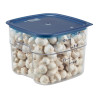 Cambro Fresh Pro Square Container Polycarbonate - Clear - 11.4Ltr Cambro Fresh Pro Square Container Polycarbonate - Clear - 11.4Ltr