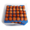 Araven Airtight Container with 4 Egg Trays GN 2/3 200mm
