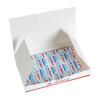 Standard Blue Plasters (100 Pack) Standard Blue Plasters (100 Pack)