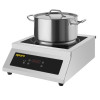 Apuro Heavy Duty Induction Hob 5kW Apuro Heavy Duty Induction Hob 5kW