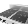 Waldorf 800 - 900mm Electric Induction Cooktop L/B Version-Bench Model