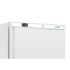 Polar C-Series Upright Freezer White 600Ltr