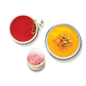 Robot Coupe Micromix Stick Blender 165mm Shaft