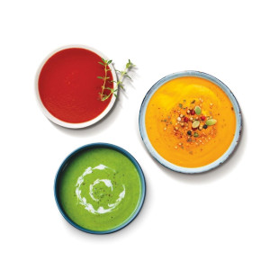 Robot Coupe Stick Blender MP450 Ultra