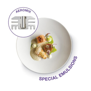 Robot Coupe Mini Combi Power Mixer MINI MP 240 COMBI