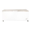 Bromic CF0700FTSS-NR Storage Chest Freezer - Flat Stainless Steel Top - 675Ltr