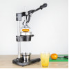 Vogue Cast Iron Juice Extractor