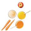 Robot Coupe J 80 Automatic Juice Extractor Robot Coupe J 80 Automatic Juice Extractor