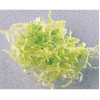 Robot Coupe 5mm Slicer Disc 27087