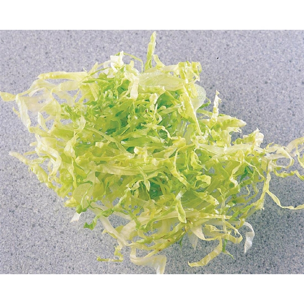 Robot Coupe 5mm Slicer Disc 27087