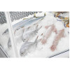 Polar G-Series Fish Display Serve Over Counter Fridge 255Ltr Polar G-Series Fish Display Serve Over Counter Fridge 255Ltr