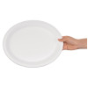 Fiesta Compostable Bagasse Oval Plate 316mm (50 Pack)