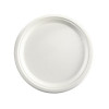 BioPak BioPlates White - 25cm (20 Pack)