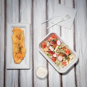 Fiesta Compostable Bagasse Rectangular Plate 258mm (50 Pack)