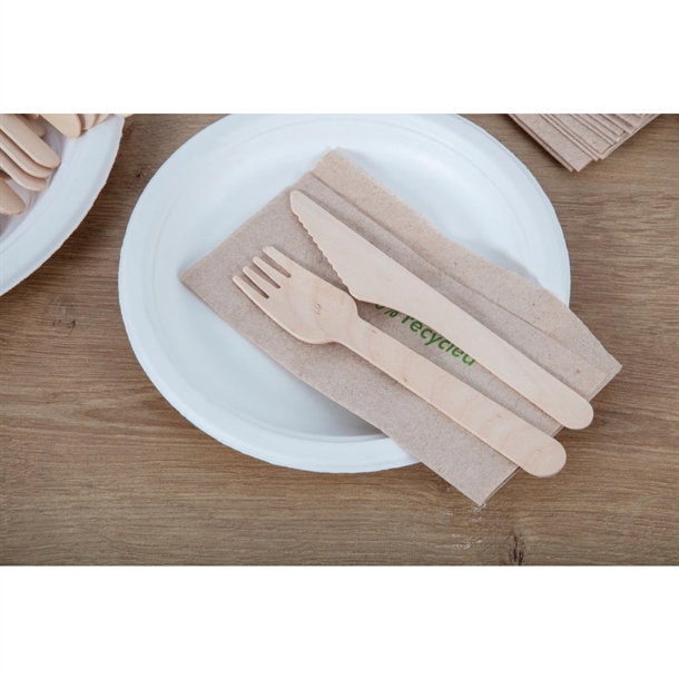 Fiesta Compostable Disposable Wooden Knives (100 Pack) Fiesta Compostable Disposable Wooden Knives (100 Pack)