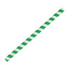 Fiesta Compostable Paper Smoothie Straws Green Stripes (250 Pack) Fiesta Compostable Paper Smoothie Straws Green Stripes (250 Pack)