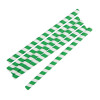 Fiesta Compostable Paper Smoothie Straws Green Stripes (250 Pack) Fiesta Compostable Paper Smoothie Straws Green Stripes (250 Pack)