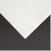 Fiesta Recyclable Lunch Napkin White 330x330mm 2ply 1/8 Fold (2000 Pack) Fiesta Recyclable Lunch Napkin White 330x330mm 2ply 1/8 Fold (2000 Pack)