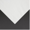 Fiesta Recyclable Lunch Napkin White 330x330mm 2ply 1/4 Fold (2000 Pack) Fiesta Recyclable Lunch Napkin White 330x330mm 2ply 1/4 Fold (2000 Pack)