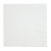 Fiesta Recyclable Lunch Napkin White 330x330mm 2ply 1/4 Fold (2000 Pack) Fiesta Recyclable Lunch Napkin White 330x330mm 2ply 1/4 Fold (2000 Pack)