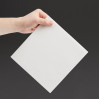 Fiesta Recyclable Premium Tablin Dinner Napkin White 400x400mm Airlaid 1/4 Fold (500 Pack) Fiesta Recyclable Premium Tablin Dinner Napkin White 400x400mm Airlaid 1/4 Fold (500 Pack)