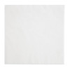 Fiesta Recyclable Dinner Napkin White 400x400mm 3ply 1/4 Fold (1000 Pack) Fiesta Recyclable Dinner Napkin White 400x400mm 3ply 1/4 Fold (1000 Pack)