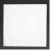 Fiesta Recyclable Dinner Napkin White 400x400mm 2ply 1/4 Fold (2000 Pack) Fiesta Recyclable Dinner Napkin White 400x400mm 2ply 1/4 Fold (2000 Pack)