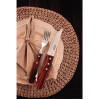 Tramontina Churrasco Steak Knife Polywood Red 120mm (Pack 12) Tramontina Churrasco Steak Knife Polywood Red 120mm (Pack 12)