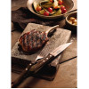 Tramontina Churrasco Steak Knife Polywood Brown 120mm (12 Pack) Tramontina Churrasco Steak Knife Polywood Brown 120mm (12 Pack)